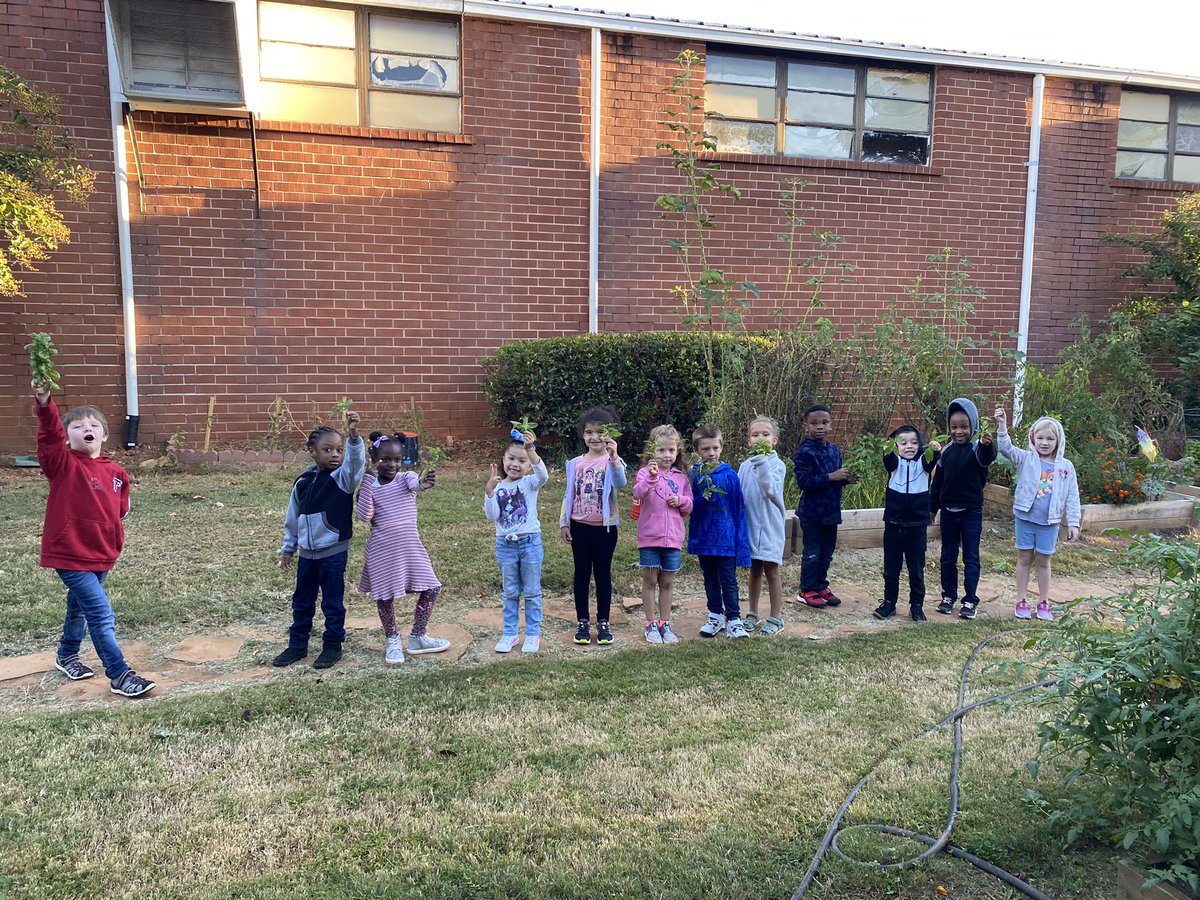 Dana Studer tweet media