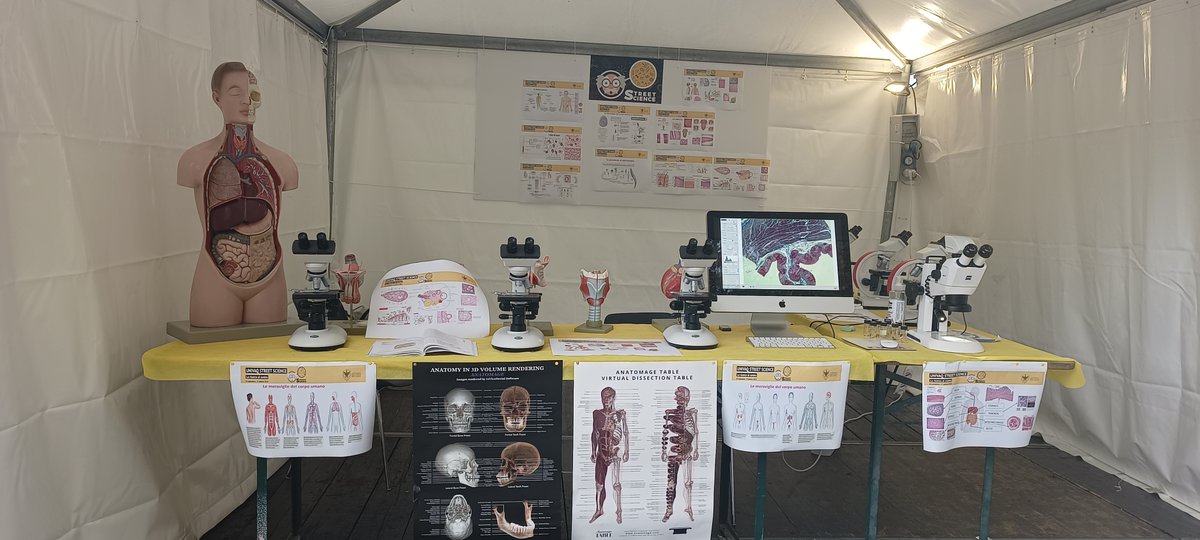 Maria Grazia Palmerini - Reproduction, Anatomy tweet media