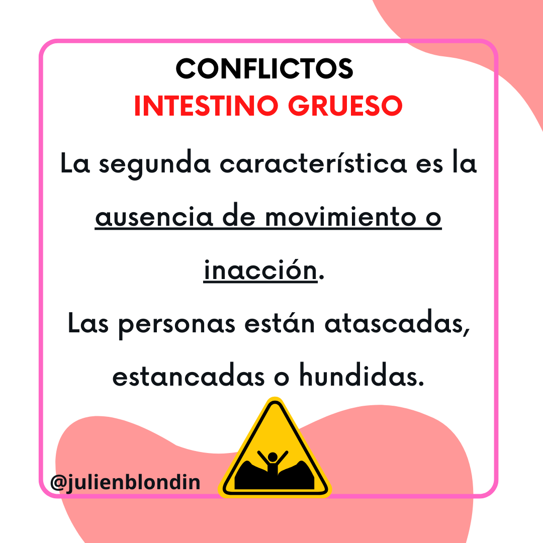 julien_blondin's tweet photo. #cuerpo #naturaleza #aparatodigestivo #intestinogrueso #colon #recto #ano #ciego #autoconocimiento #acompañamiento #perdón #perdonar #perdonarse https://t.co/hAw5T6CB9v