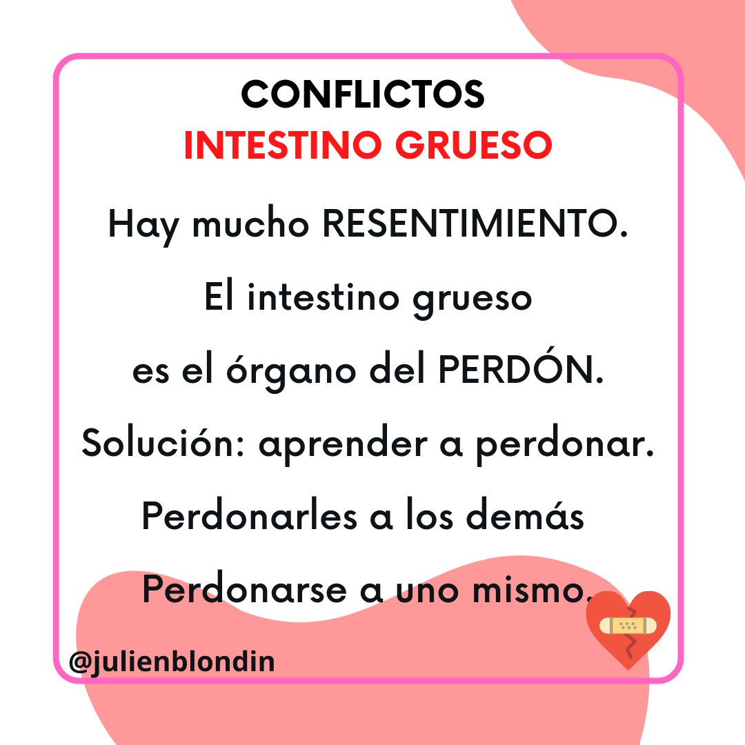 julien_blondin's tweet photo. #cuerpo #naturaleza #aparatodigestivo #intestinogrueso #colon #recto #ano #ciego #autoconocimiento #acompañamiento #perdón #perdonar #perdonarse https://t.co/hAw5T6CB9v