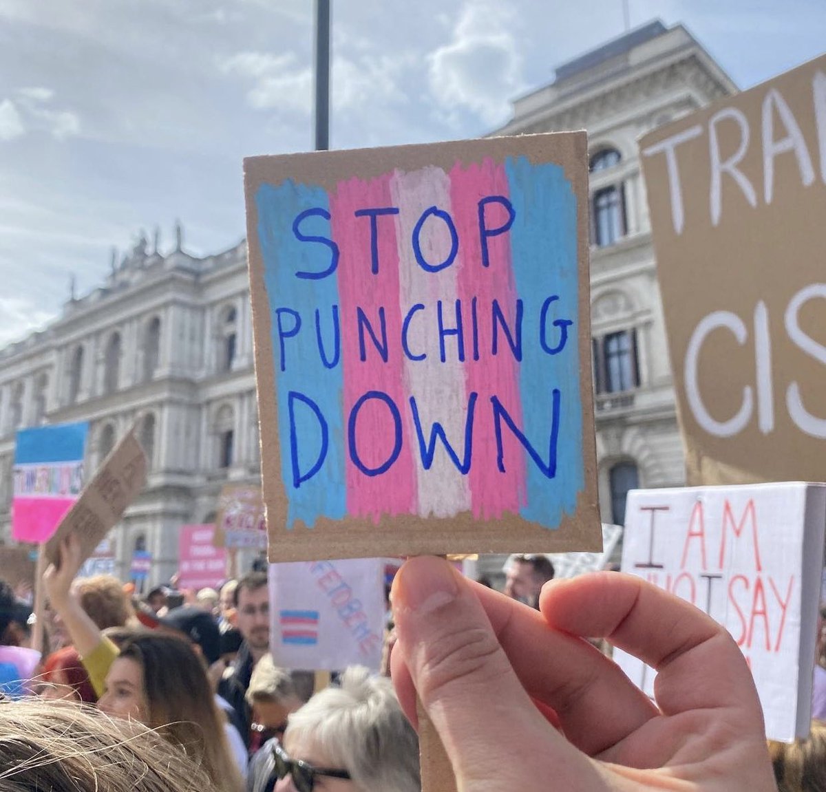 A tiny sign stating Stop Punching Down with the trans pride colours