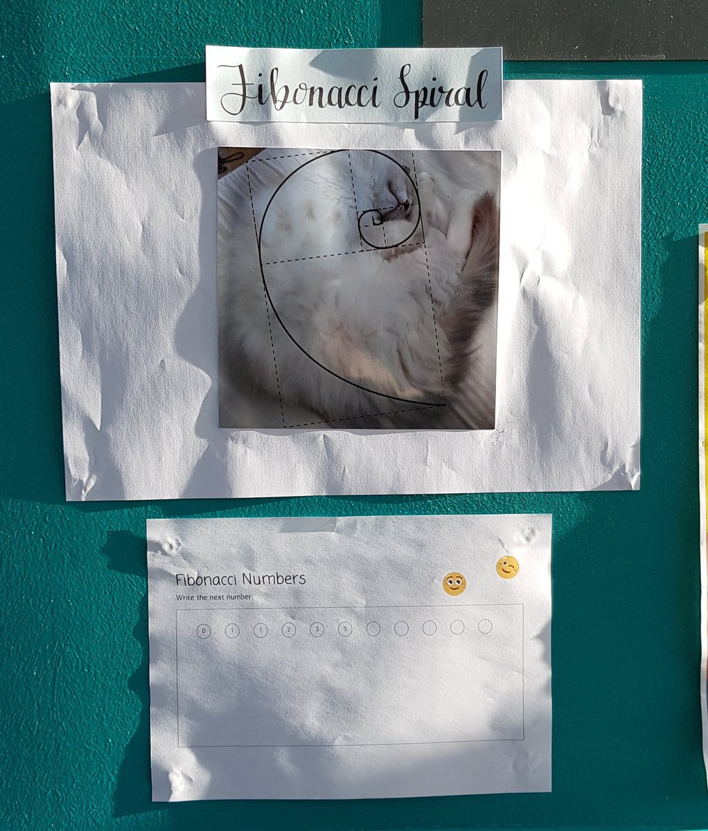 MrsP_maths21's tweet photo. We are loving the cats 🐱🐈 So mathematical 😎 Thanks Milena and Kaja for the lovely photos of your cats @StDavidsHS https://t.co/soVtWXrtv3