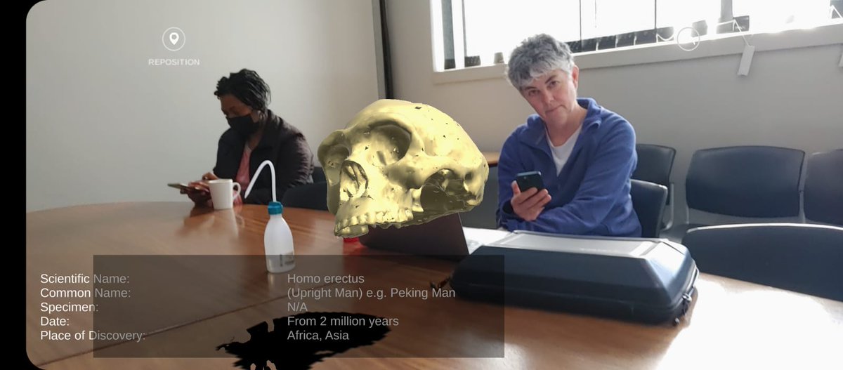 How cool is this? We have launched the hominid skulls on the Origins Centre AR App and we are in awe. Download the app and see all the animals, dinosaurs and skulls come to life anywhere you are. Try this at home and have fun together as a family!