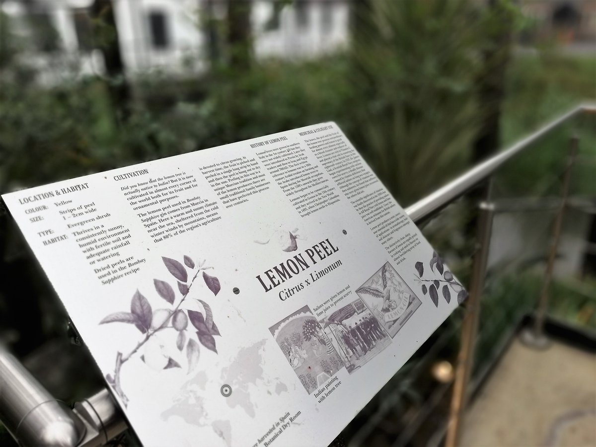 Geyser_Funny's tweet image. Have you ever been on a tour of a facility, and they mention that certain flavours are used in the creative process, and you might receive a pamphlet with a stock photo of the ingredients? 

Well at #BombayDistillery in Laverstoke, you can see, smell, and taste the Botanicals!