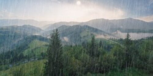 .
freee event
#biodiversity Data Beyond Borders

10 October online

oppla.eu/data-beyond-bo…

<a href="/NBNTrust/">NBN Trust</a> <a href="/_ALERC_/">ALERC</a> <a href="/NBNAtlas/">NBN Atlas</a> <a href="/DavidRoyBRC/">David Roy 🐛</a> <a href="/___BRC___/">BRC</a> 
<a href="/BRERC_Official/">BRERC</a> <a href="/_ERCCIS/">ERCCIS</a> @RECORDLRC <a href="/DBRCnews/">DBRC</a> @EssexWTrecords <a href="/Glos_Records/">GCER</a> <a href="/Hants_BIC/">HBIC</a> <a href="/iGiGL/">GiGL</a> <a href="/_Northants_BRC/">NBRC</a> <a href="/NorfolkBIS/">NBIS</a>