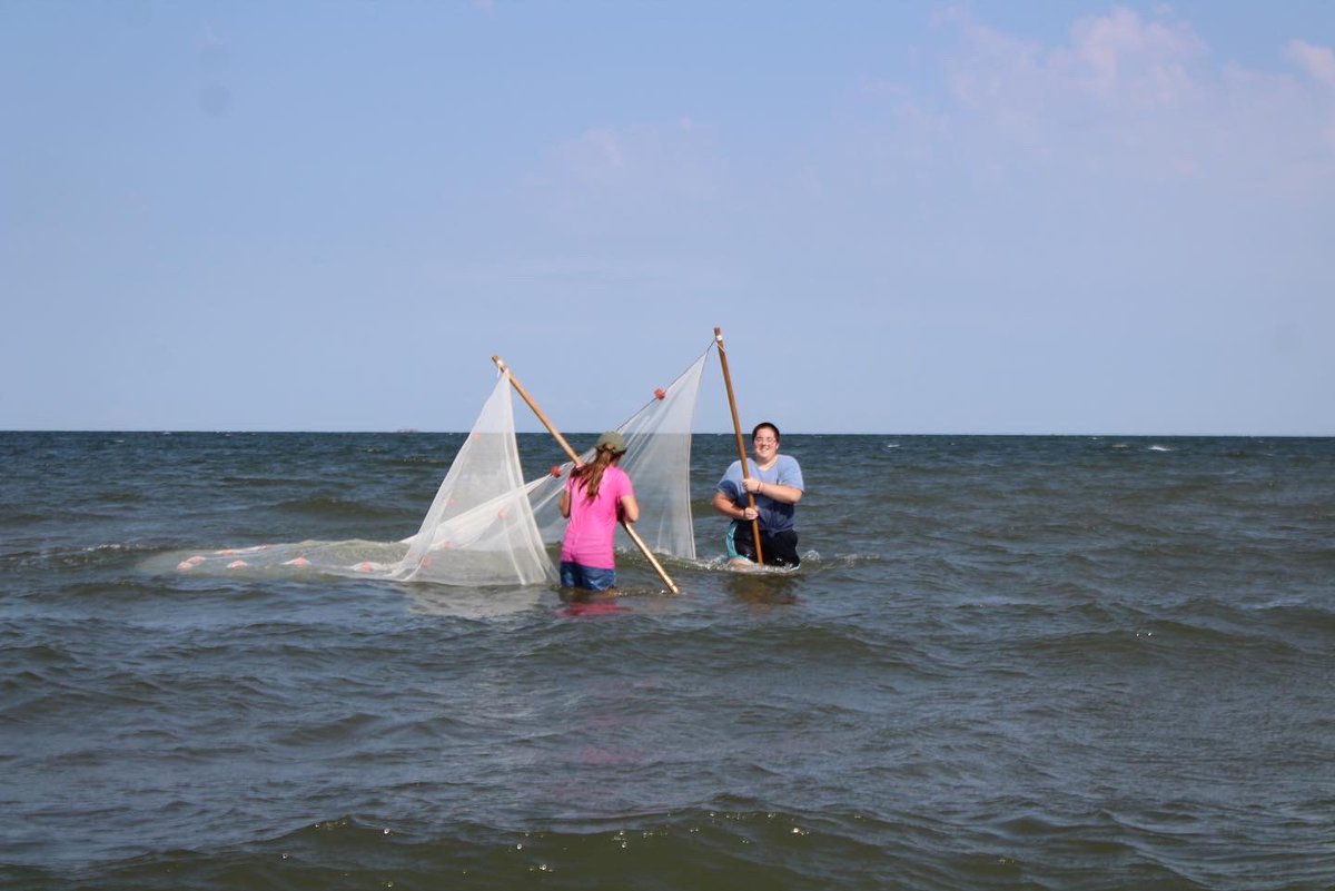 LA Tech Biology tweet media