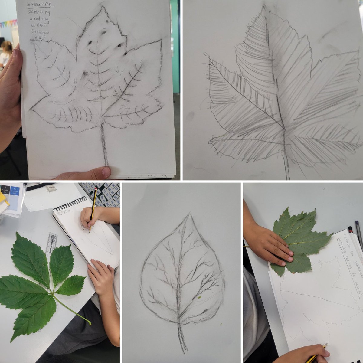 Year4 has been loving learning how to sketch and shadow in leaves. We have some budding artists at Hartsholme! #hhaart #hartsholmeacademy #hhay4 #theharbourlearningtrust