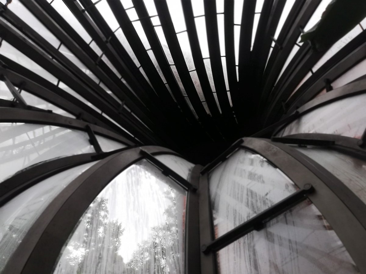 Geyser_Funny's tweet image. The first thing to hit you (after the welcoming warmth &amp;amp; incredible fragrances) upon entering the Botanical Gardens, is how intricate the design is.

The unique nature of the architecture flows seamlessly from the structure of the plants, enhancing both. #BombayDistillery