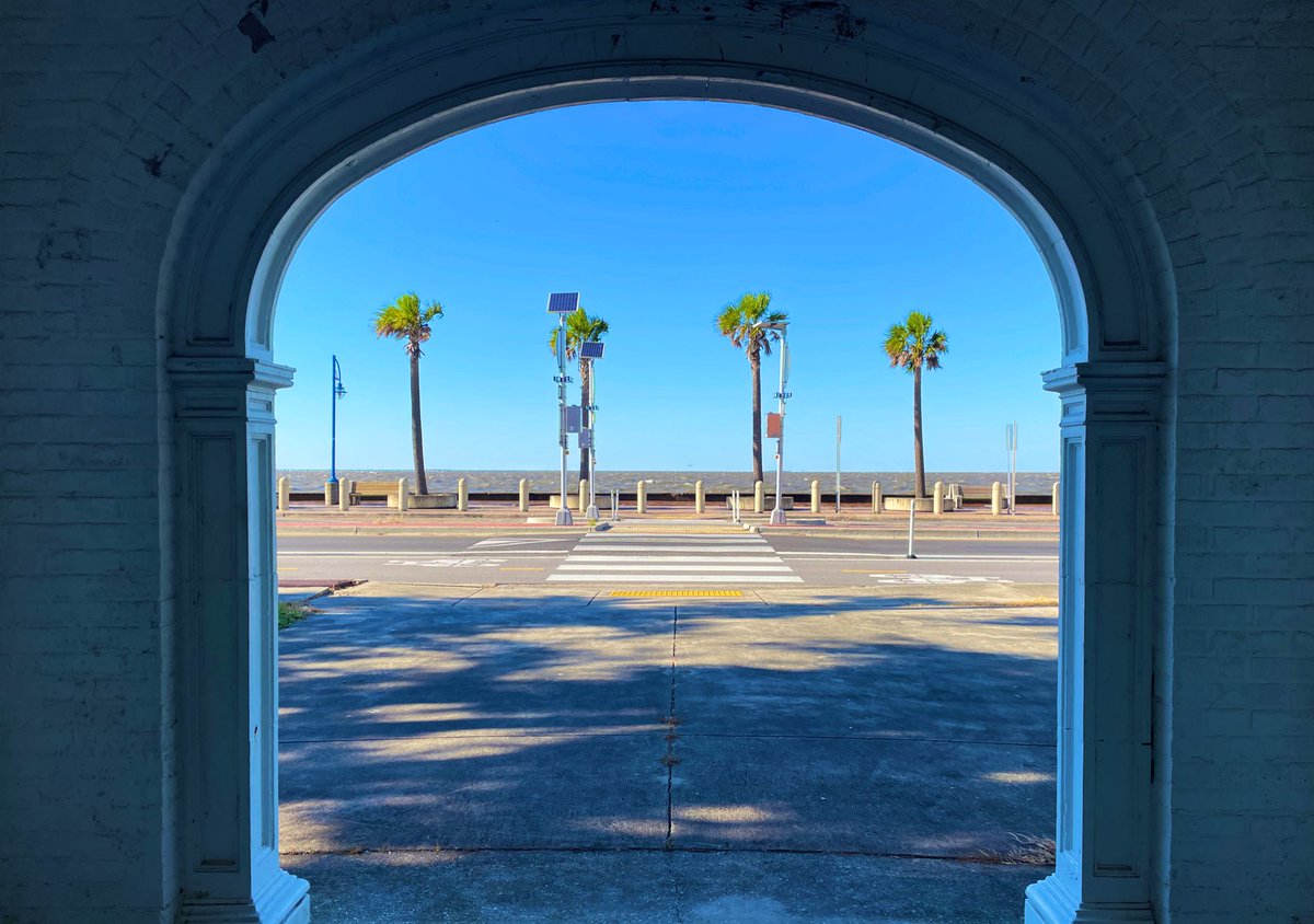 The New Orleans Lakefront is so peaceful! 💙🌴☀️🌴💙 #lawx #nola