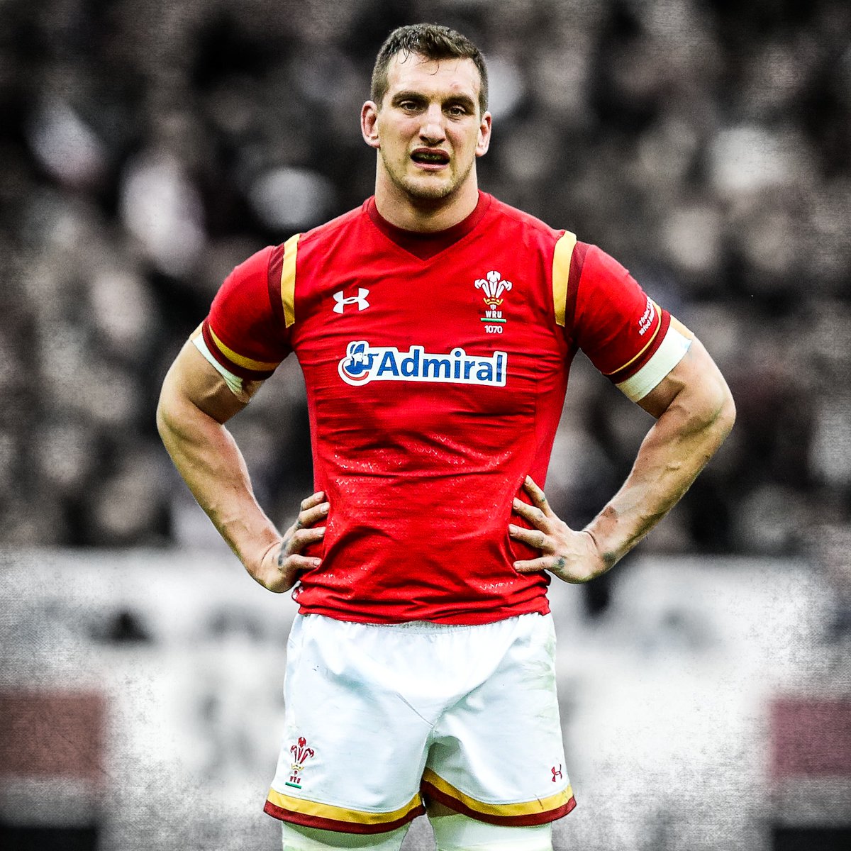 Guinness Men's Six Nations tweet media