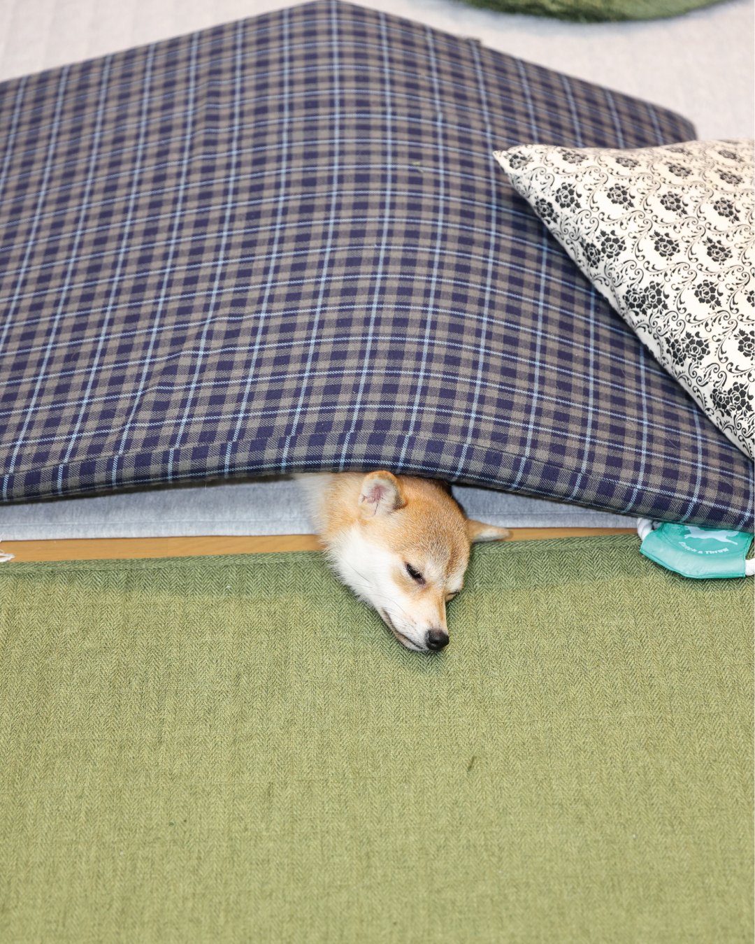 犬寝相 Twitter Search Twitter