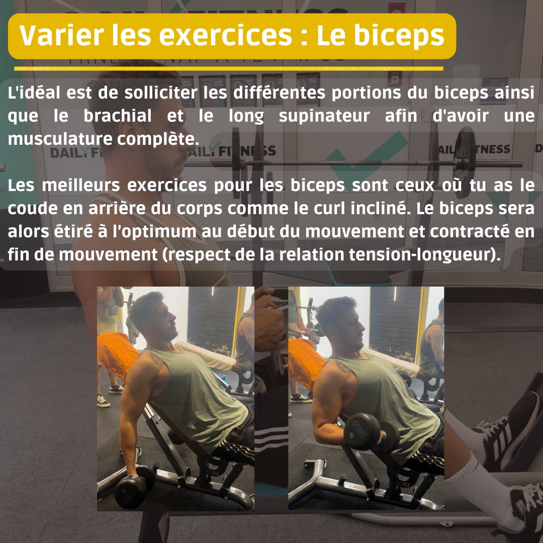 CoachBigMalc's tweet photo. Muscler ses biceps semble simple. C’est oublier que différents muscles composent ton bras. N’en oublie aucun si tu veux un bras complet.
Je t’explique ça ici 💪:
#musculation #coach #fitnessmotivation #superphysique #fitfrenchies #biceps #bras #armtraining #musculationdesbras https://t.co/B1GJPNlKGz