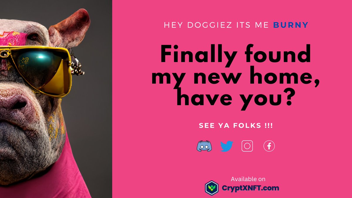 burnystreetclub's tweet photo. Officially launching #TheBurnyStreetClub #NFTs to rehabilitate abandoned and stray dogs around the world. Calling all the animal lovers around the globe for this initiative.#NFTCommunity  #NFTartwork #NFTcolletion @CryptxNft #doglovers https://t.co/o8C5ukZch4
