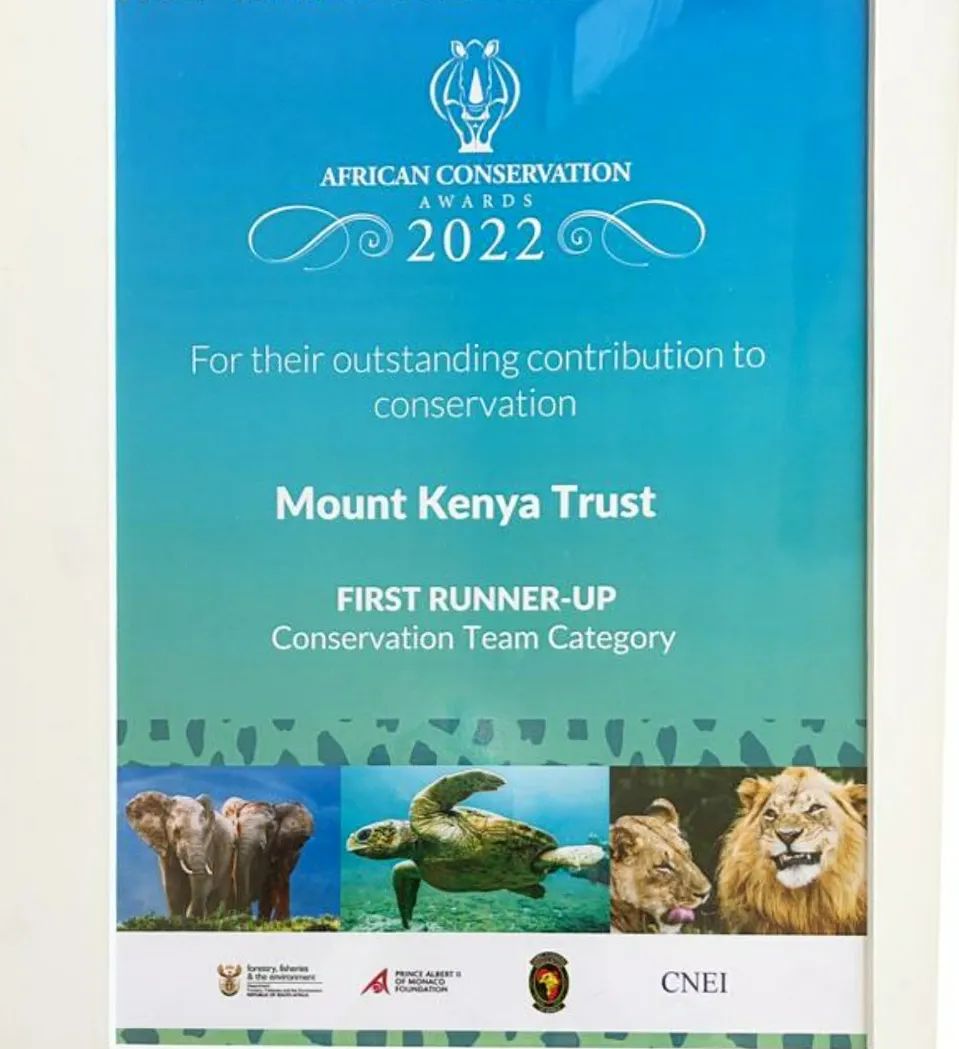 We're proud to be the FIRST RUNNER-UP in the Conservation Team category of the @RhinoAwards.

#MountKenyaTrust #AfricanConservationAward #conservationaward #africaconservation #conservationwork