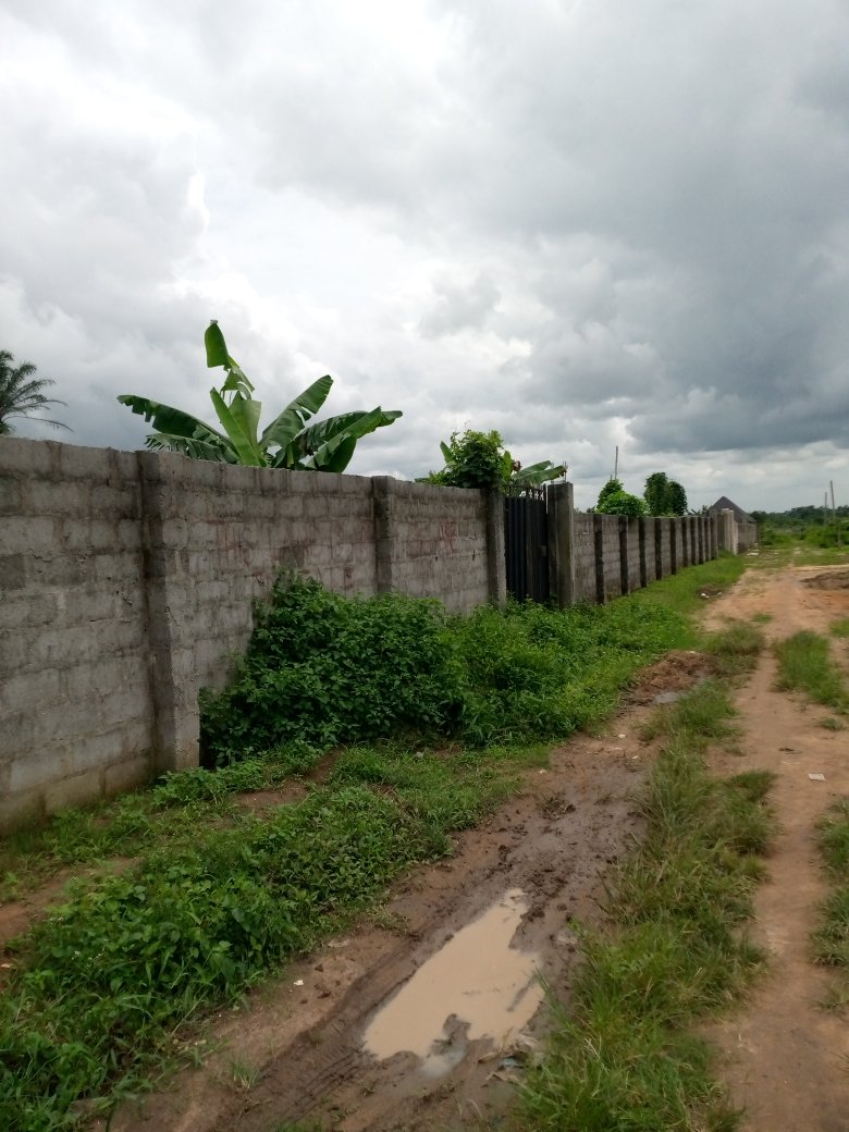 markilism's tweet image. For sell‼️‼️
A 2 plots of Land(fenced and gated)
Price-25 million naira only  Asking Price.
Location-Airport road Rumuagholu axis,1 pole Directly on the airport express road.
Title is D of C!
Enquires-08152736549
#phtwittercommunity
#RealEstate
Rinu #TalkYourTruth #WhereisBAT