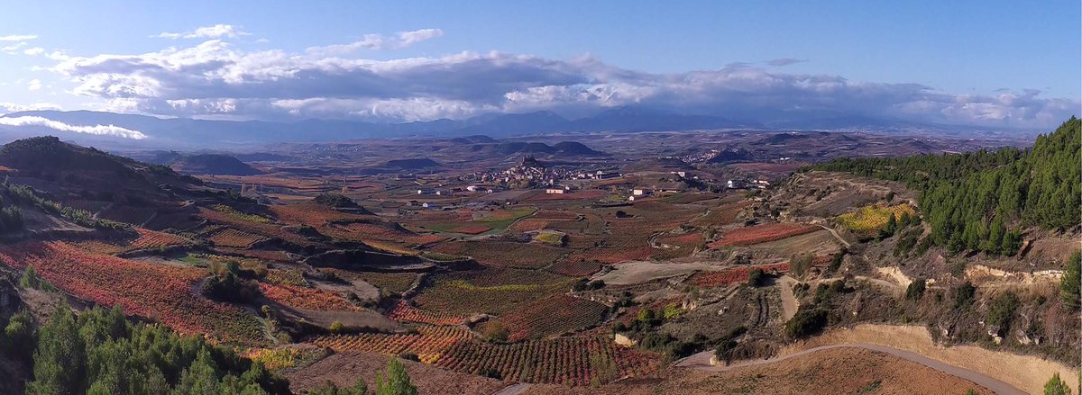 En otoño 🍁 una visita imprescindible es #SVSonsierra. Este año tenemos novedades para que disfrutes del del paisaje, del patrimonio y de la cultura del vino con nuevas actividades en nuestra web 🍇
🖥️ svsonsierra.es 
📞 teléfono 609 274 488 
📧 info@svsonsierra.es