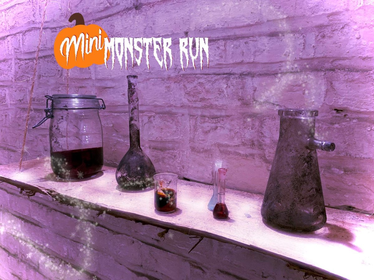 Elisabeth Gaertner tweet media