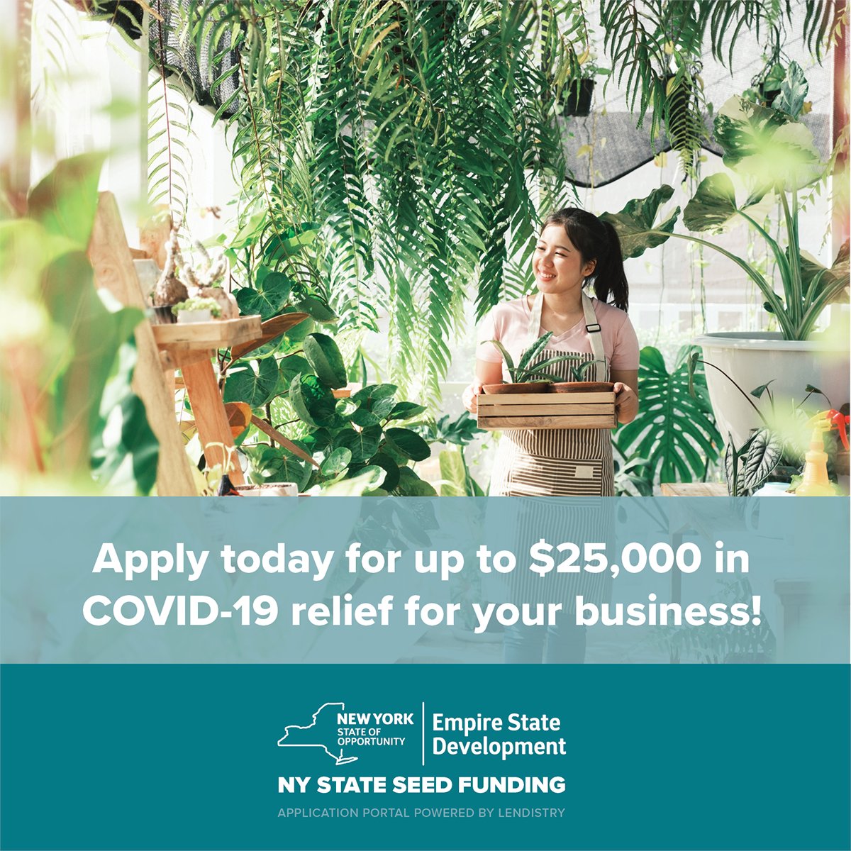 EmpireStateDev's tweet photo. The NYS Seed Grant Program application window is now open. Early-stage small businesses can apply for grants of up to $25,000. Don’t miss out on this opportunity to get COVID-19 relief for your business!