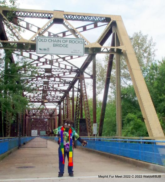 THE_BJBUTTONS's tweet photo. #fursuitfriday #Waldolf about to cross the old Chain of Rocs #chainofrocks bridge over the #Mississippi River #fursuit #fursuiter #fursuiting #bear #costume https://t.co/6w0FLTqqXP