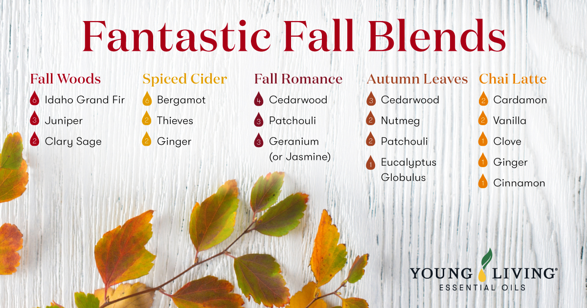 Fantastic fall blends we know you’ll love.🍂
 
Which blend suits your personality?

Shop the oils youngliving.com