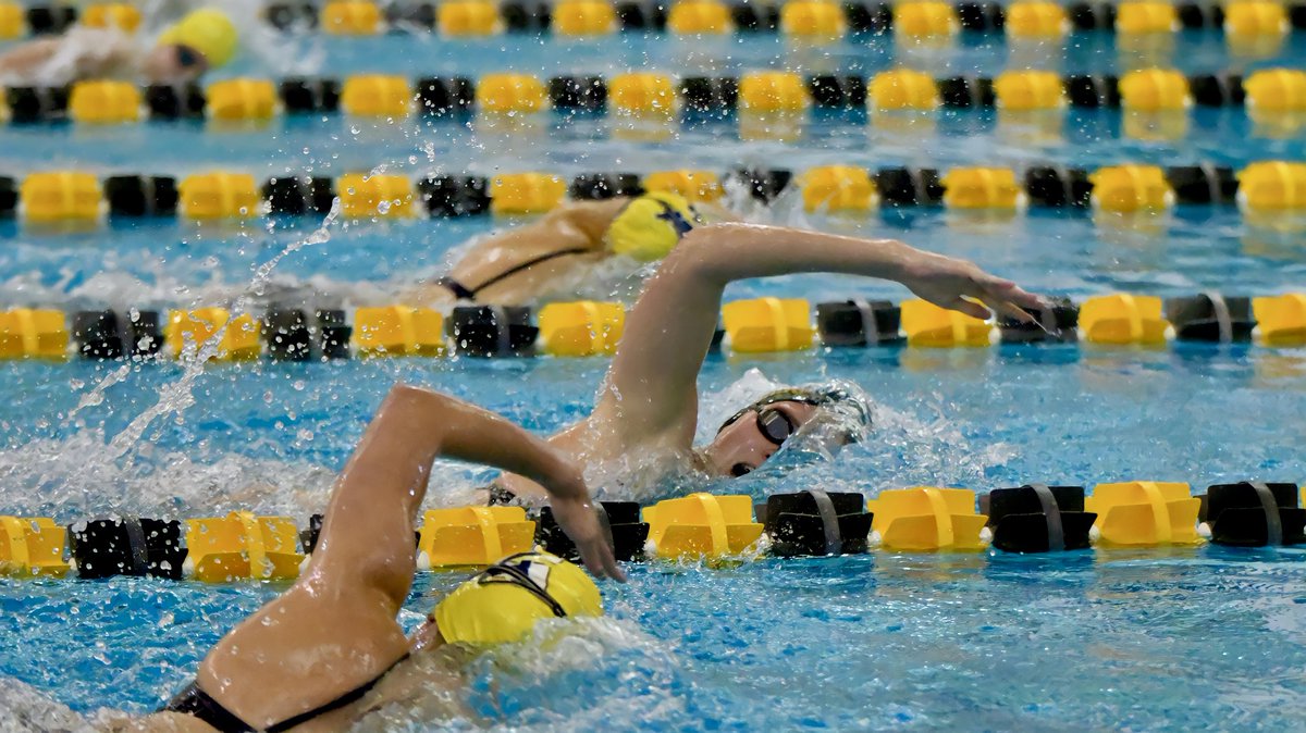 H2OhhPHOTO's tweet photo. WVHS Swim - 9.29.2022 
@wvhsswim https://t.co/hXzGAy1scD