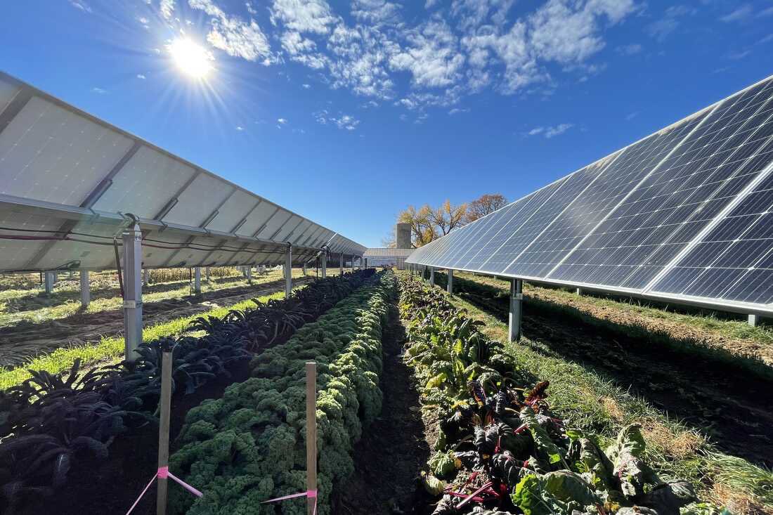 NorwoodJohn's tweet image. Solar. What’s Iowa vision? It should be designed 👉 SUPPORT agriculture NOT REPLACE. The photos show ex. of each. I 👏  solar that supports food production + ag diversification. Iowa #2 wind power state to #Texas. I see #IA as food + renewable ⚡️ capital of #usa. @Norwood4Iowa