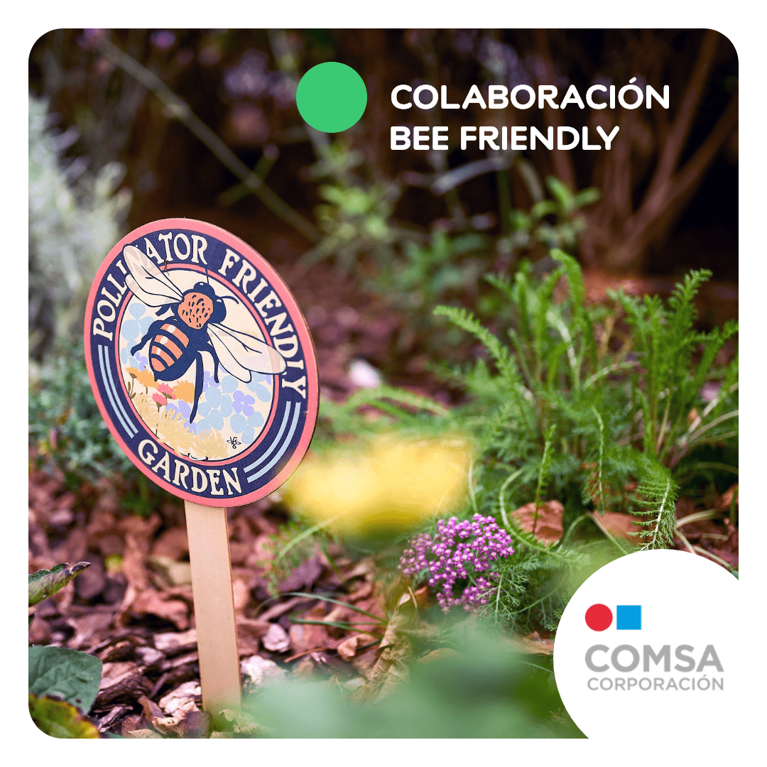 🐝Bee friendly, my Friend! 😆
Maya recomendaría el jardín polinizador de #CampanileCornellá. Un país 🌈, creado con @COMSA y  @Cornnatur , para proteger la biodiversidad con una gestión sostenible de los recursos naturales.

#CampanileESDW #ods13 #ecosistema #CampanileEspaña