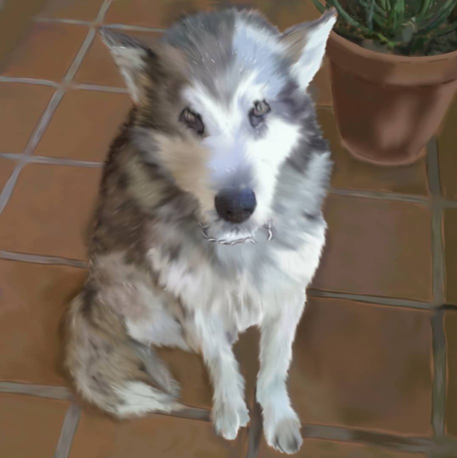 baxdraws's tweet photo. Commission: portrait of a dog.

#art #drawing #digitalart #perros #doggy https://t.co/z2oxmaQZsr