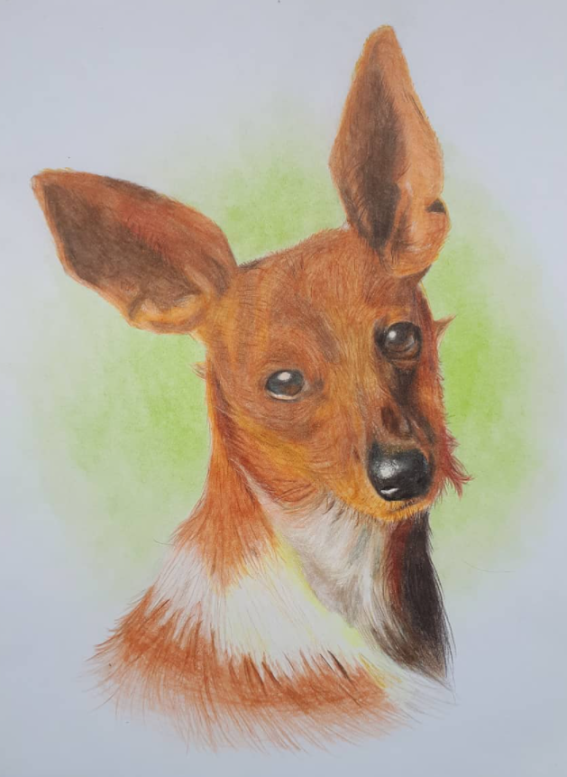 baxdraws's tweet photo. Portrait of my dog Duna.

#art #dog #perros #drawing #realistic https://t.co/Wocg6ahb54