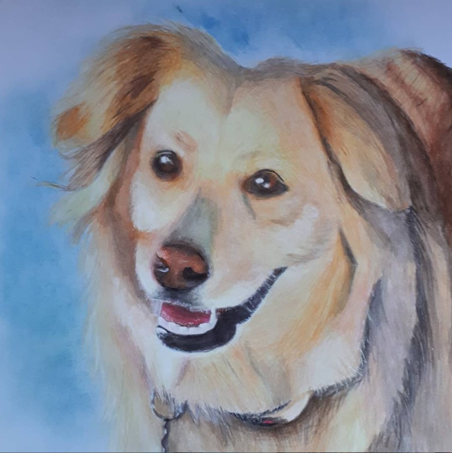 baxdraws's tweet photo. Commssion: Perla portrait.

#perro #dog #realistic #drawing #art https://t.co/eYp8CXHsy7