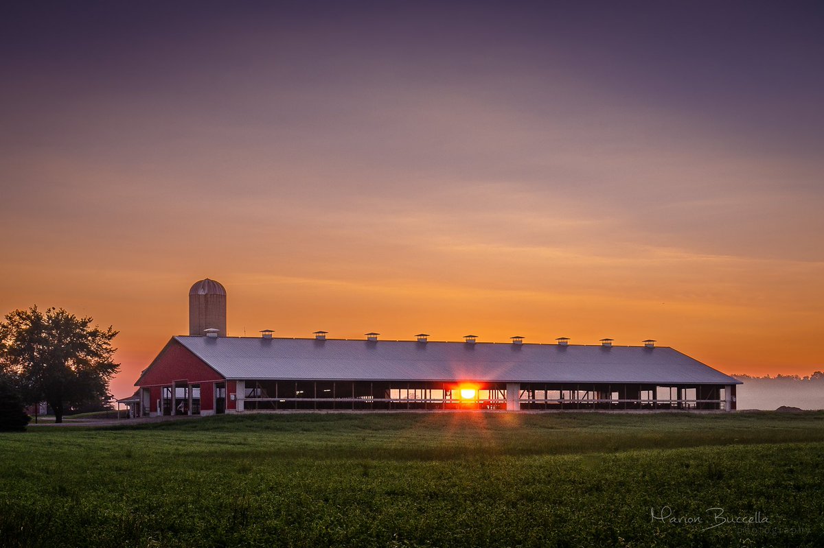 Fawn Jackson tweet media