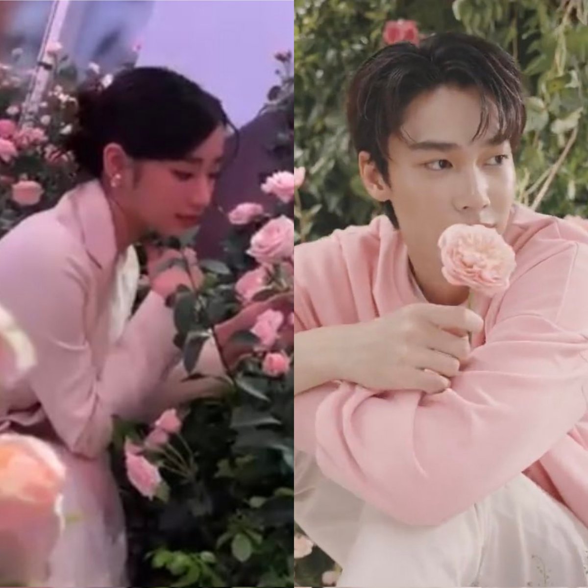 tntwlvr's tweet photo. The prettiest in flower garden🌷💐

#tontawan_t #dew_jsu #dewtu #ดิวตู https://t.co/mewI9EB4lM
