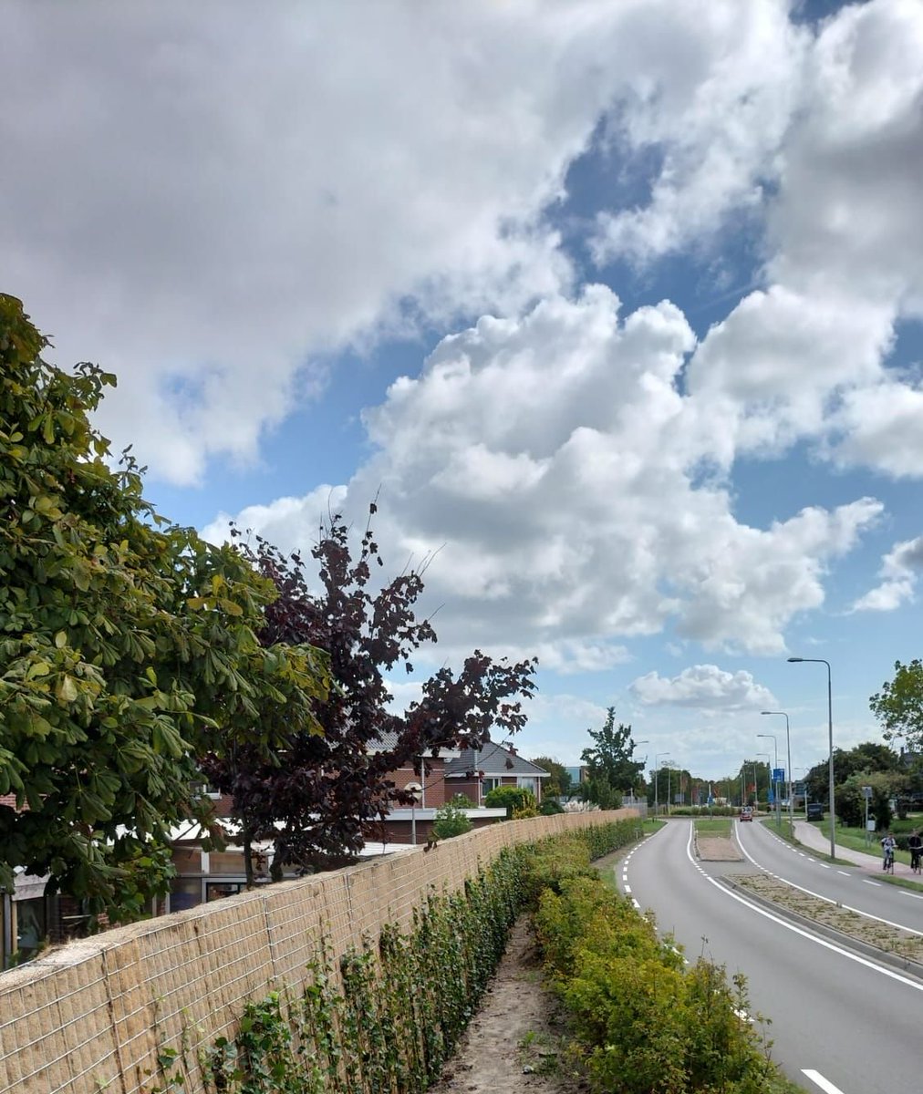 Afgelopen week hebben we voor de gemeente Westland langs de Galgeweg in Naaldwijk een verouderd houten geluidsscherm vervangen door een Greenwall Classic 240H, uitgevoerd door onze partner <a href="/BooimanTuinenBV/">Booiman Tuinen B.V.</a>.
Binnenkort gaan we voor dezelfde relatie aan de slag in De Lier #perron.