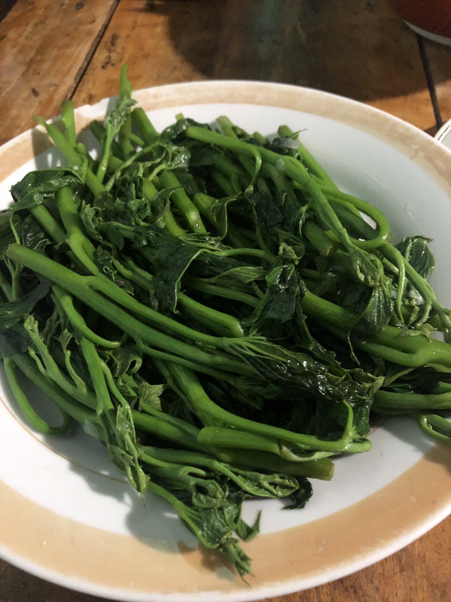 jeanelly06's tweet photo. i am home 🏡🥰 https://t.co/tRlctj8dDQ
