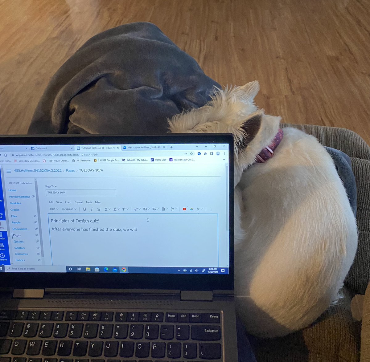 Listen here puppy dog, there’s only so much I can fit on this lap.