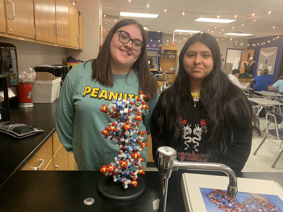 PBS introduced to DNA this week, including the structure and function!  To help see the double helix, we used our old trusty 3D molecular models!  They were able to see how the bonds hold and pull DNA into its twisted ladder shape! <a href="/3DMolDesigns/">3D Molecular Designs</a> <a href="/PLTWorg/">Project Lead The Way</a> <a href="/texaspltw/">Texas PLTW</a> #wearegraham