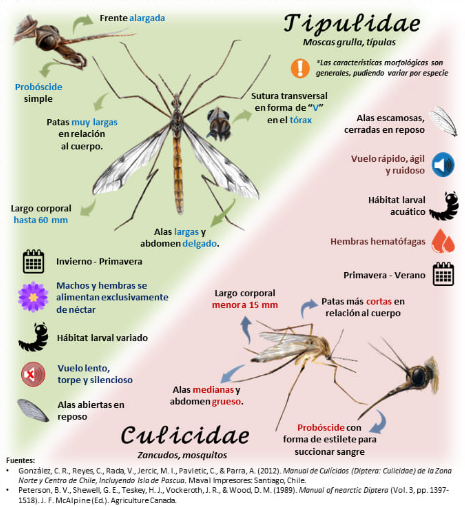 ForeroCDV's tweet image. 