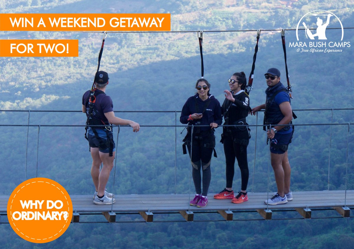 Mara Bush Camps tweet media