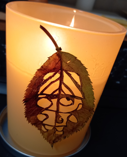 yjsimple75's tweet photo. @ooz_official @cripco_official
#OOZ #OOZfanart #lessgOOOOOZZZ 

The collector OKOO collects autumn leaves and decorates the house beautifully. https://t.co/dE3ASz8tWP