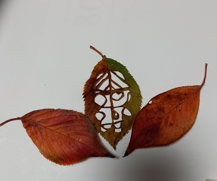 yjsimple75's tweet photo. @ooz_official @cripco_official
#OOZ #OOZfanart #lessgOOOOOZZZ 

The collector OKOO collects autumn leaves and decorates the house beautifully. https://t.co/dE3ASz8tWP