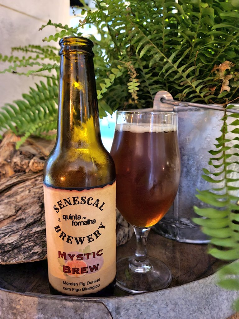 antrim_man's tweet photo. #senescal More local brews discovered in #cabanas #algarve #portugal #sláinte 🍻
#craftbeer https://t.co/cTd1LNORAu