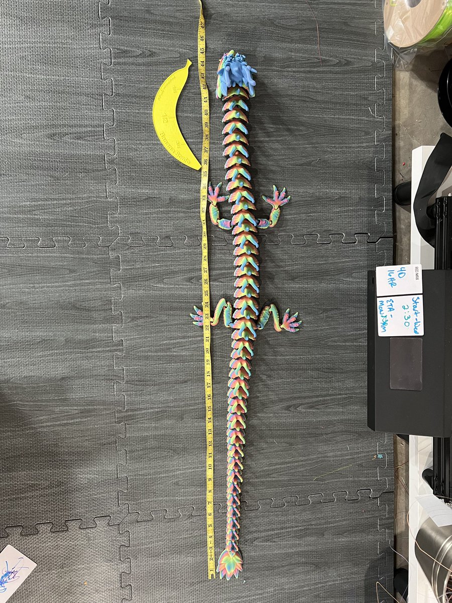 TandaTipsy's tweet photo. 45” dragon always good for a show piece! @FlexiFactory @ISanmate https://t.co/fdaKxfuuuD