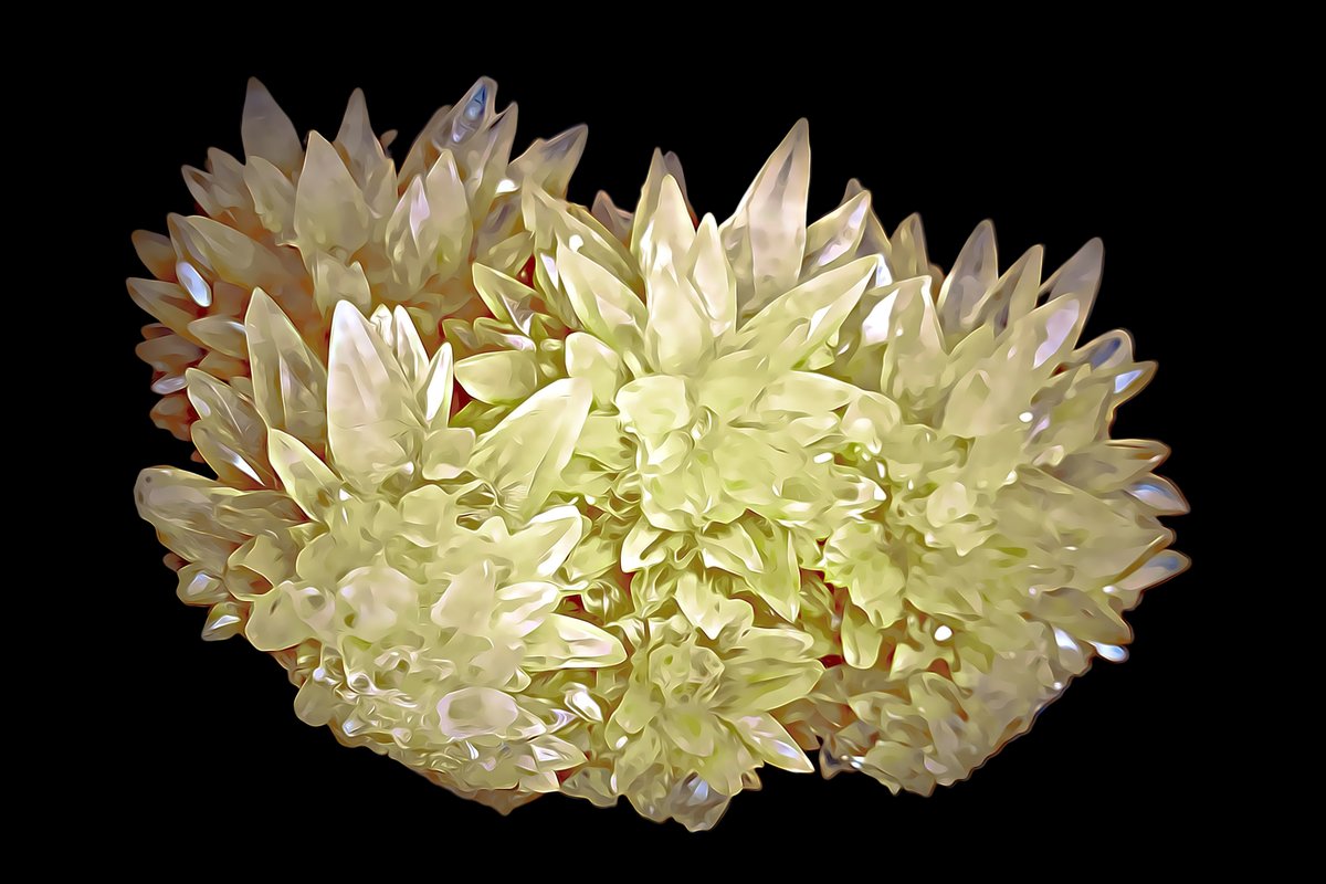 eCryptonite tweet media