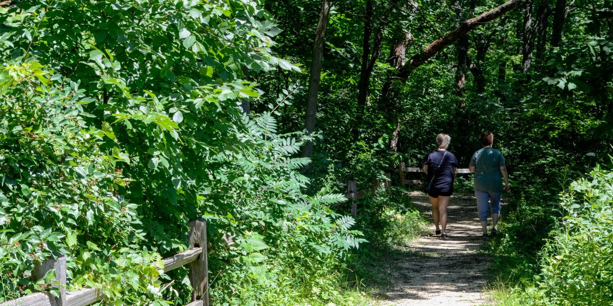 MadWIParking's tweet photo. #Walktober week- Oct. 2-8: get out and try a nature walk!

@madisonparkswi has many hiking &amp; walking trails.
Try finding different birds, trees, flowers still in bloom or take in the view from one of our lakes or streams.
https://t.co/Tm5SaJkmIx

#GetOutAndWalk #WalkMadison https://t.co/LgWB5dwUL1