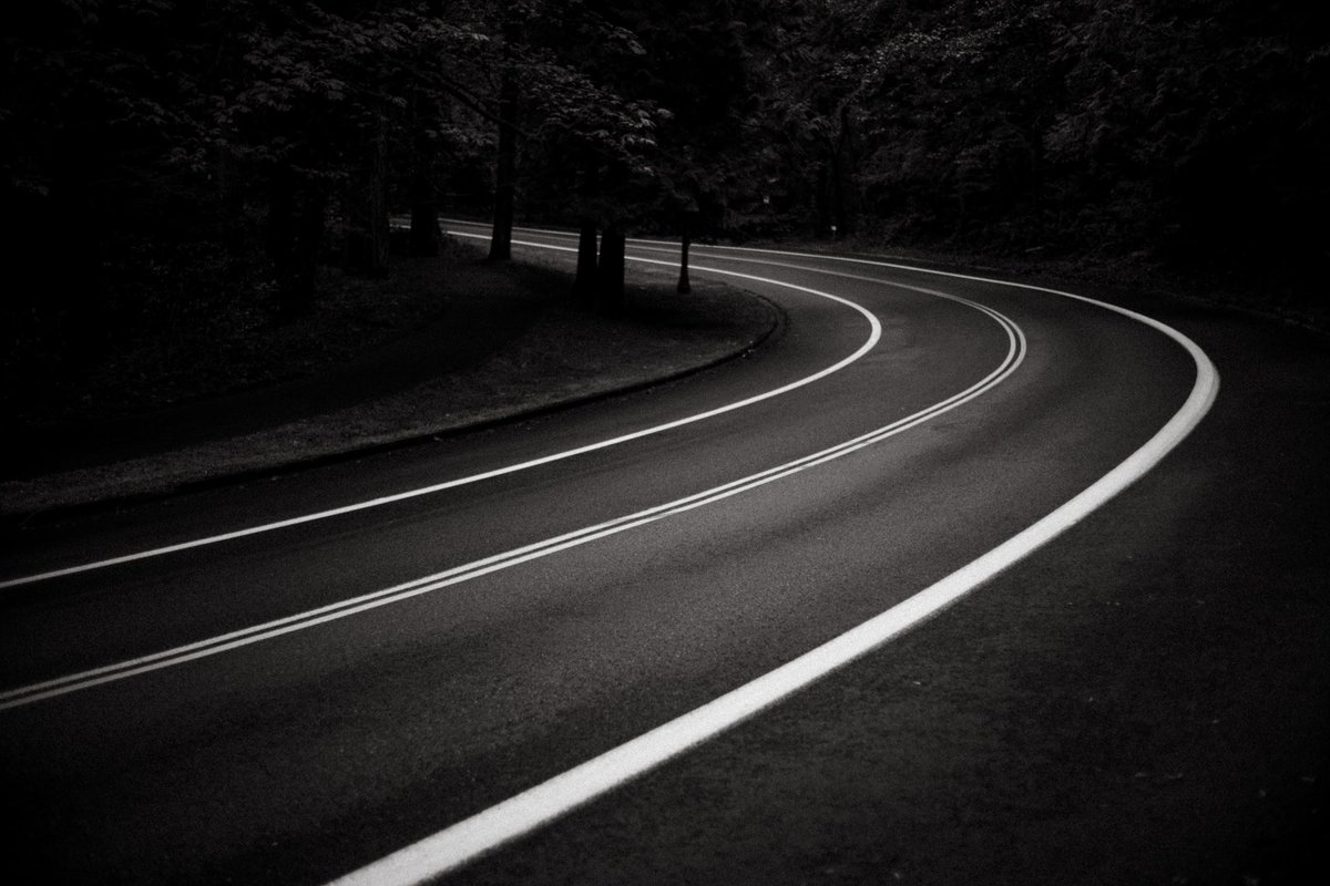 ghostshaped's tweet image. It’s been the worst month of my life. Took a walk yesterday and made some frames.