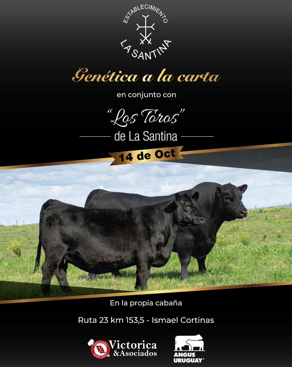 Otro año más de #geneticaalacarta. 
Los mejores productos de @la_santina_agrofin rematados en la cabaña.
14/10/22 en Ismael Cortinas, Flores
