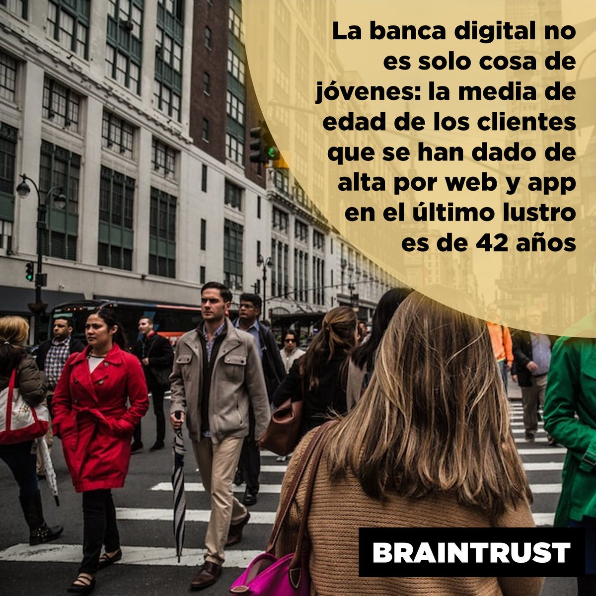 BRAINTRUST Consulting Services tweet media
