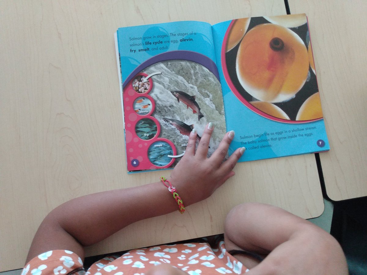 RosinaThompson3's tweet photo. In grade 2 we are investigating life cycles by reading some books. Ask your child what animal they read about. @miss_stoute @StGregoryHCDSB https://t.co/64XomGGq1Y