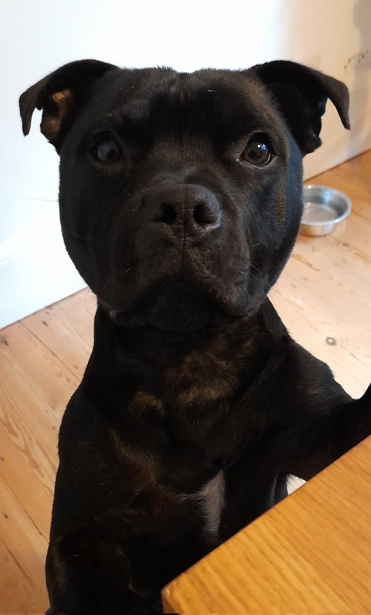 Lers go to pub, its Friday night!