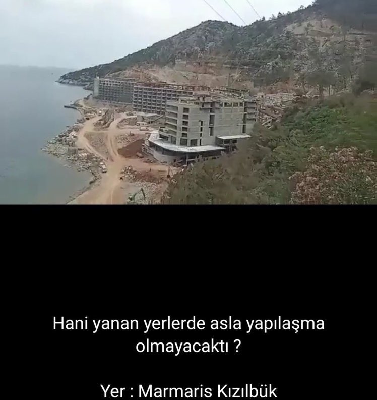 burcugunden's tweet photo. “Yanan ormanlar imara açılmayacak, derhal tekrar ağaçlandırılacak”

#GeceyeBirPALAVRAbırAK https://t.co/dU3aTnAxKq